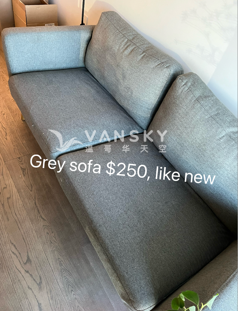 240325144120_Grey Sofa 250.png